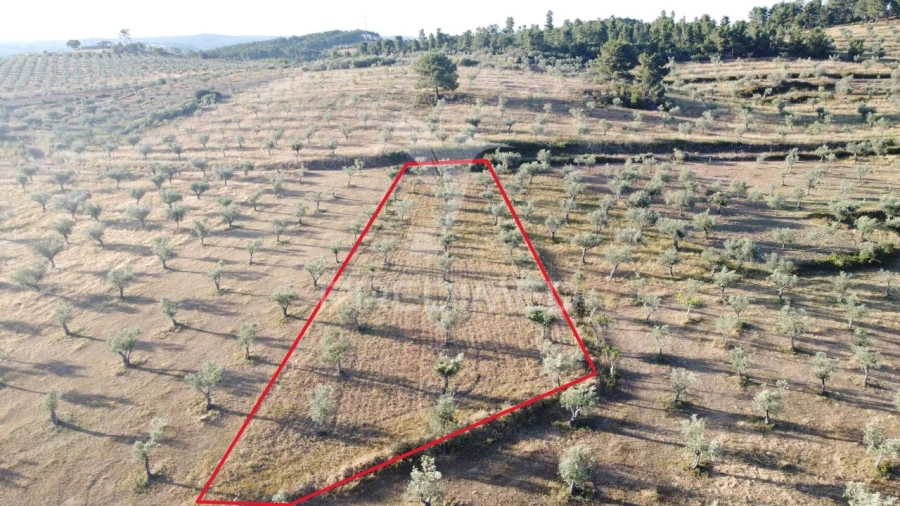 Moradia T3 para Venda em Bouça Foto 26