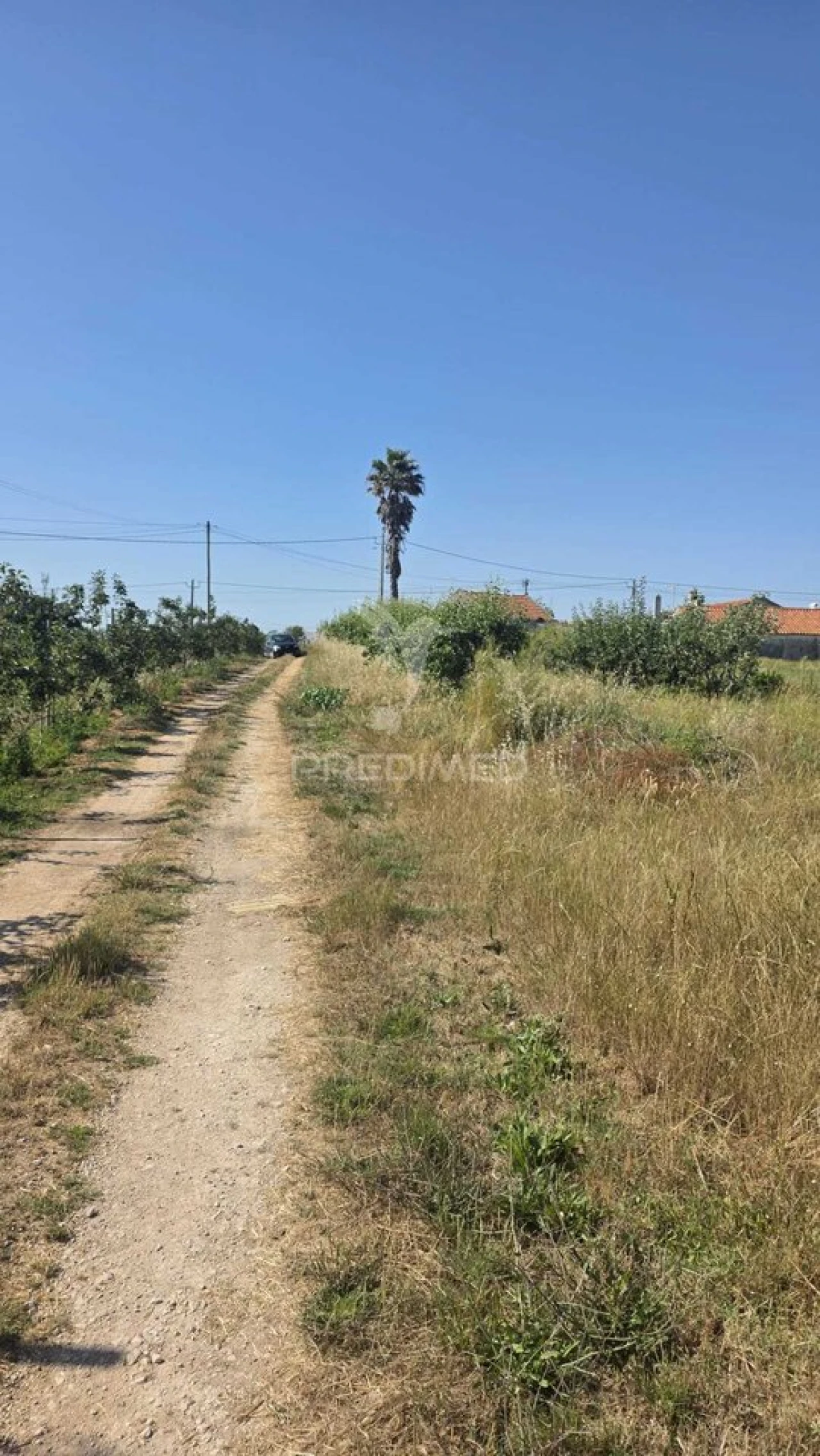 Terreno para Venda em Aljubarrota Foto 1