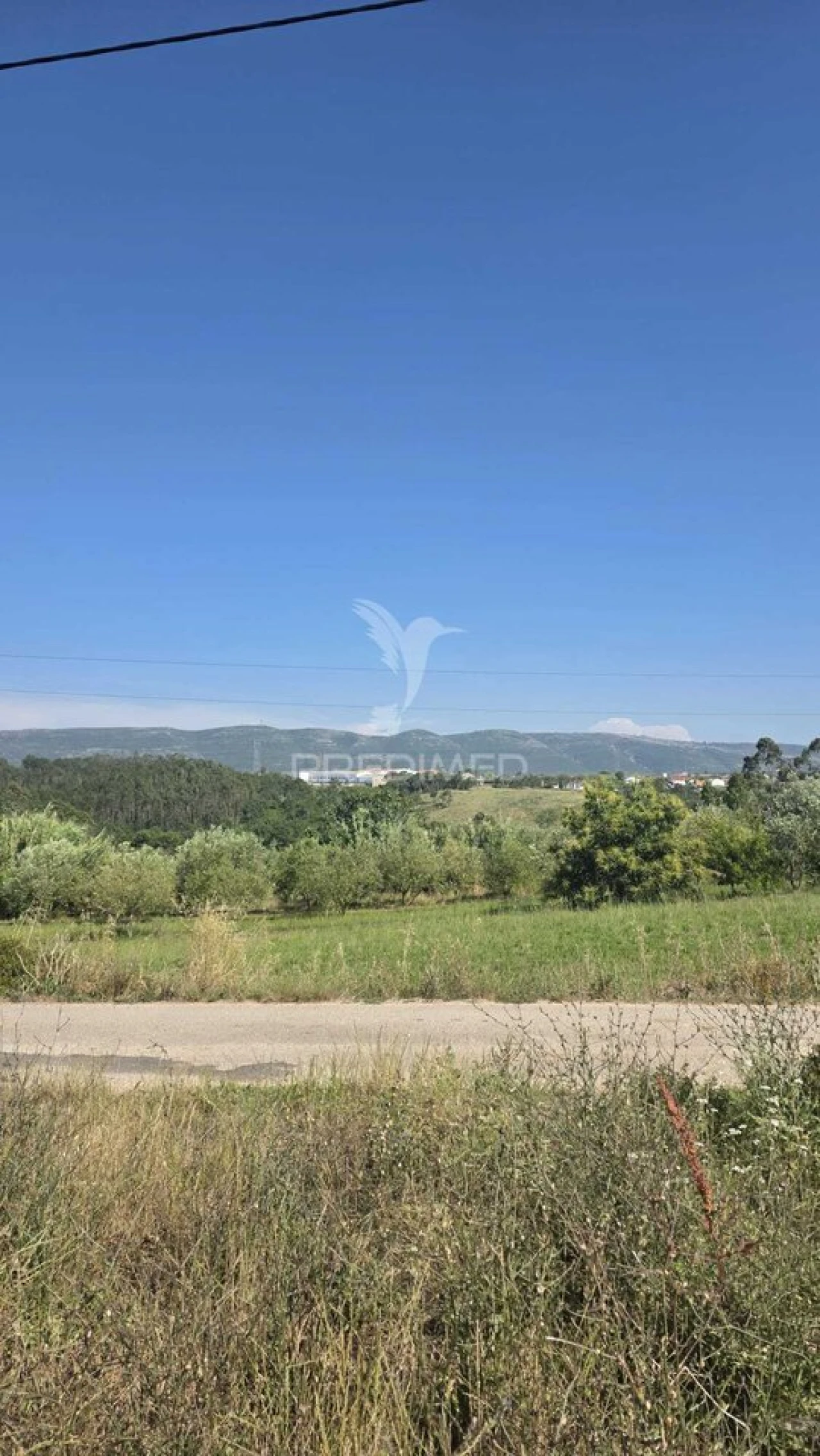Terreno para Venda em Aljubarrota Foto 2