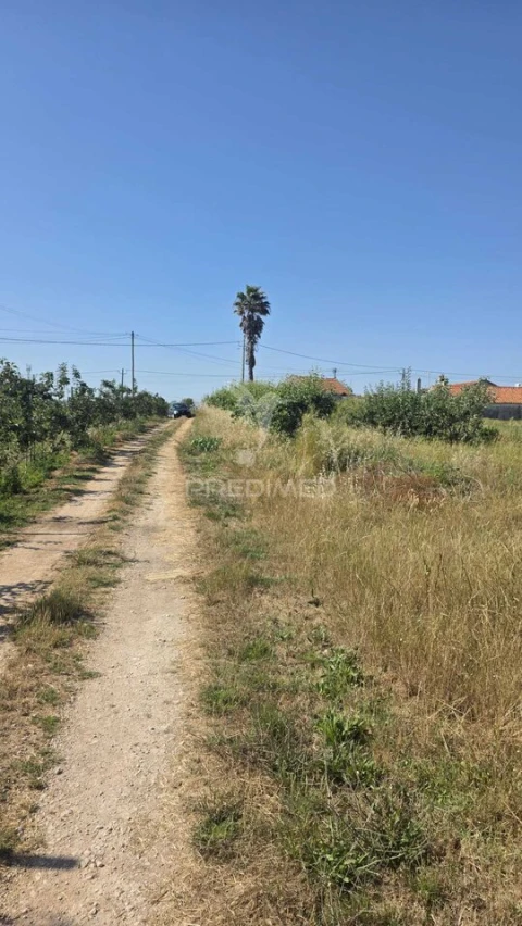 Terreno para Venda em Aljubarrota
