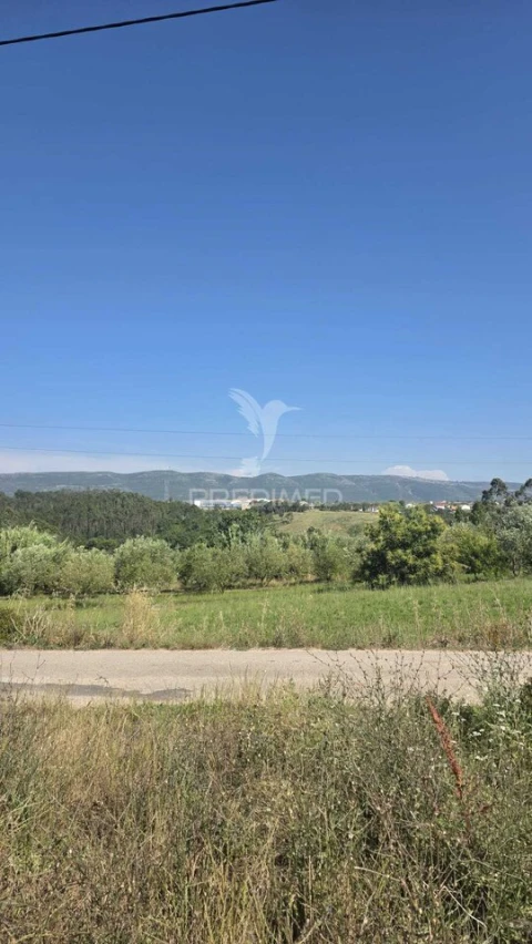 Terreno para Venda em Aljubarrota