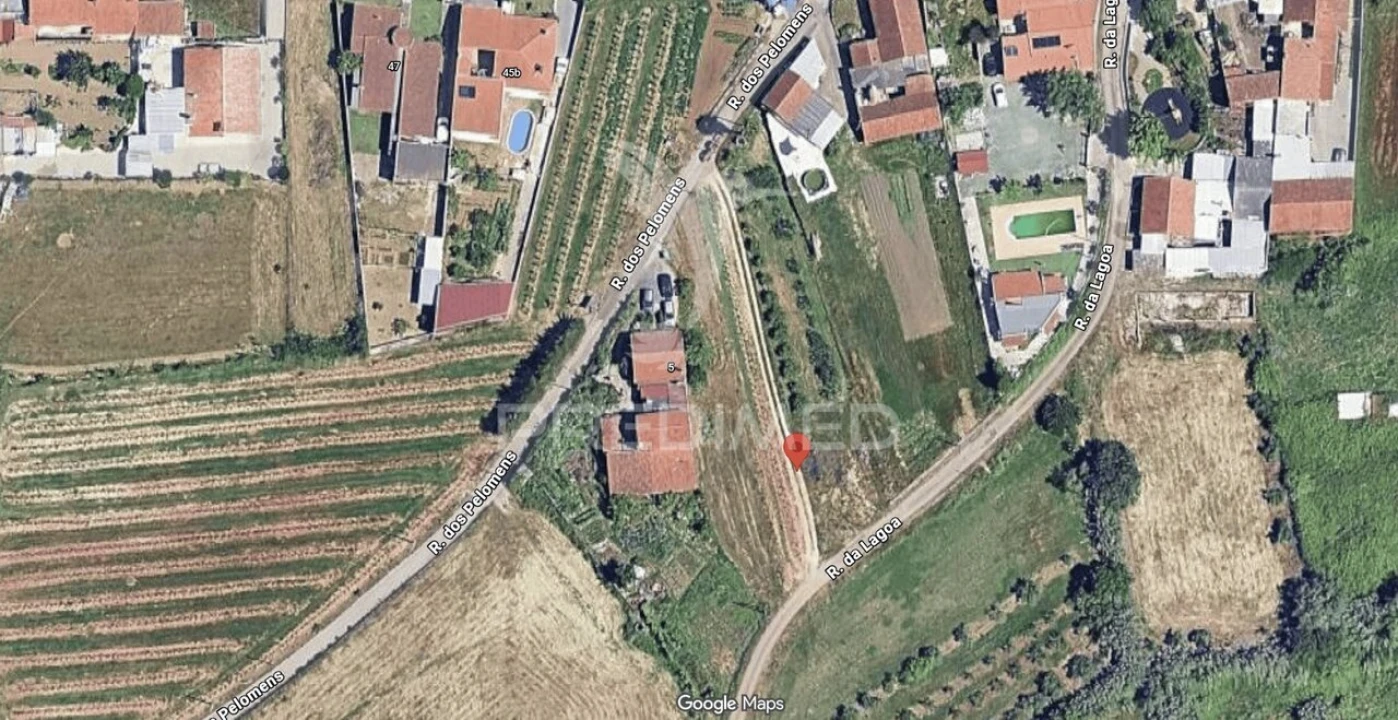 Terreno para Venda em Aljubarrota Foto 6