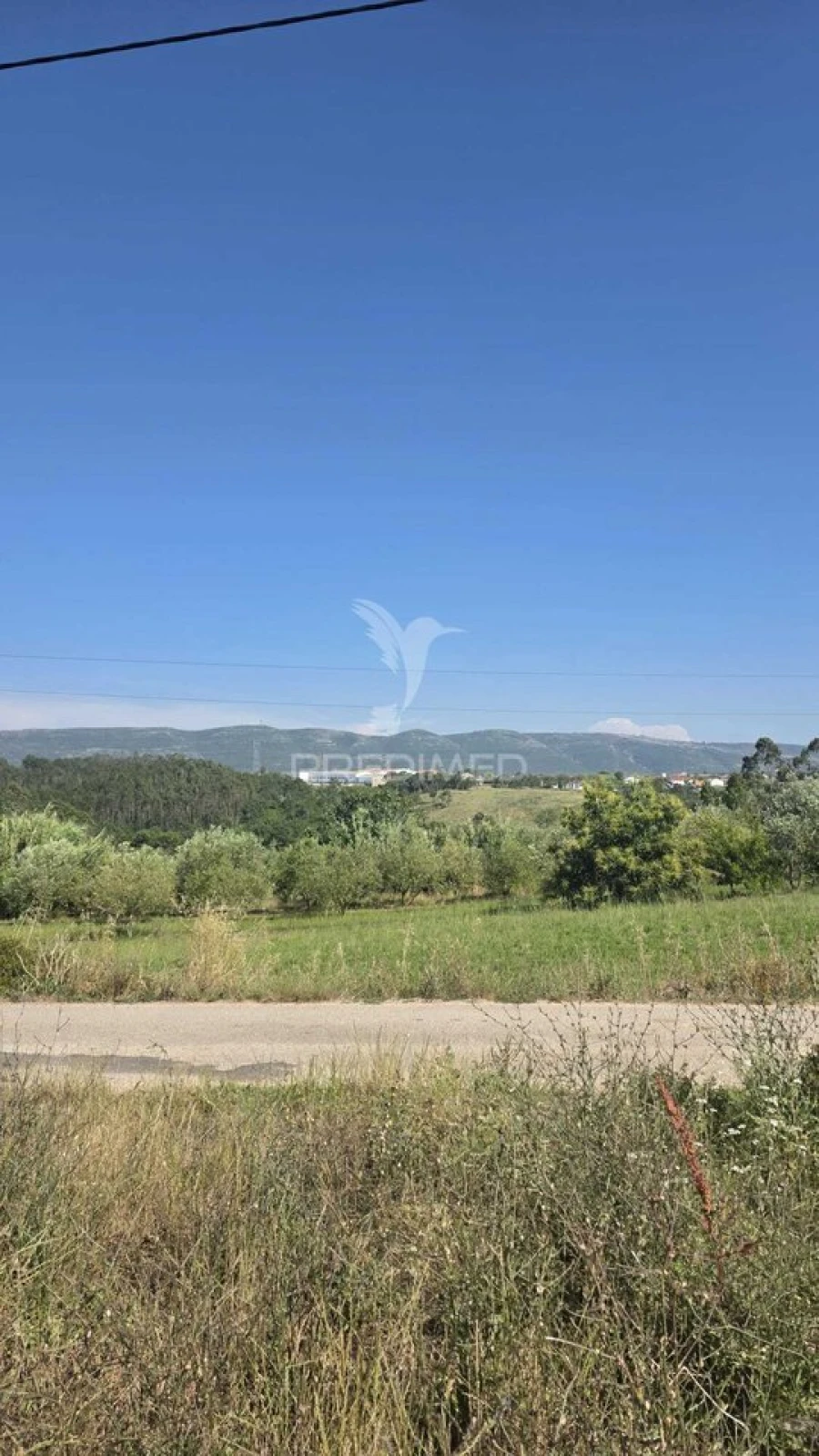 Terreno para Venda em Aljubarrota Foto 2