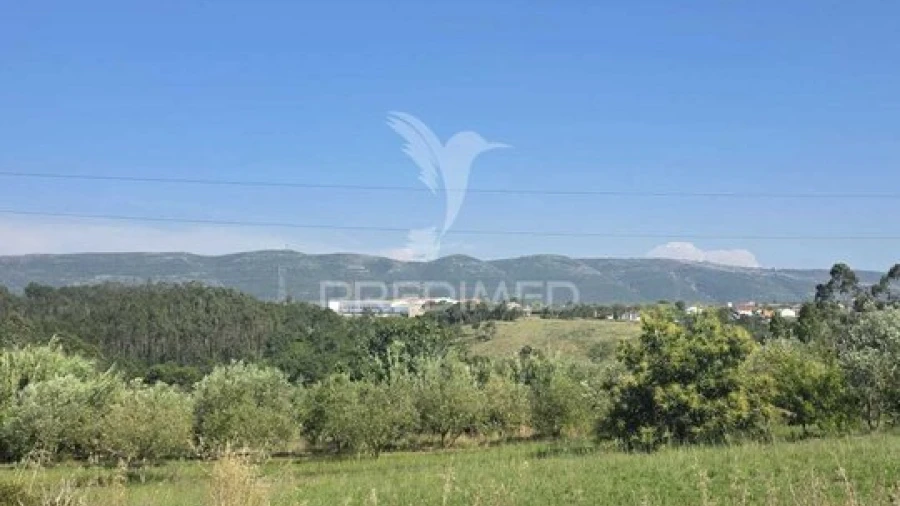 Terreno para Venda em Aljubarrota
