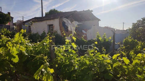 Moradia T3 para Venda em Santa Margarida da Coutada