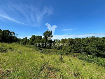 Terreno para Venda em São Roque do Pico