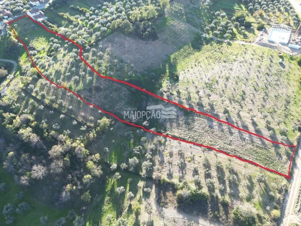 Terreno para Venda em Grijo de Parada Foto 1