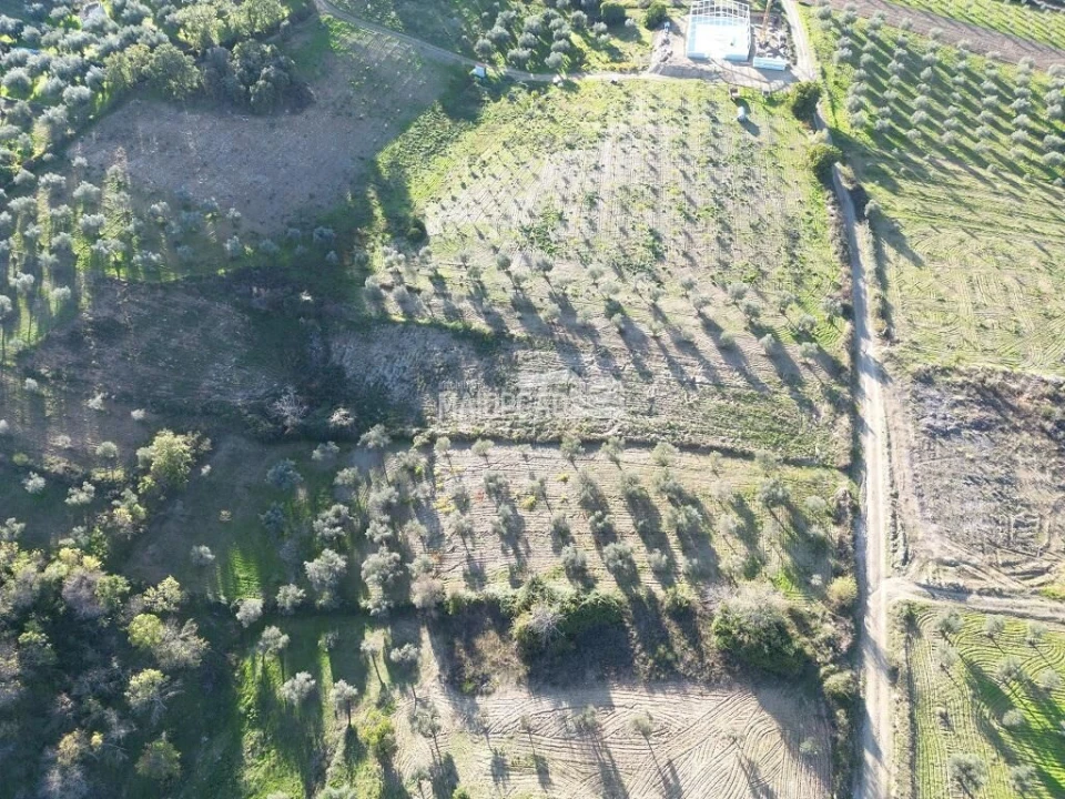 Terreno para Venda em Grijo de Parada Foto 3