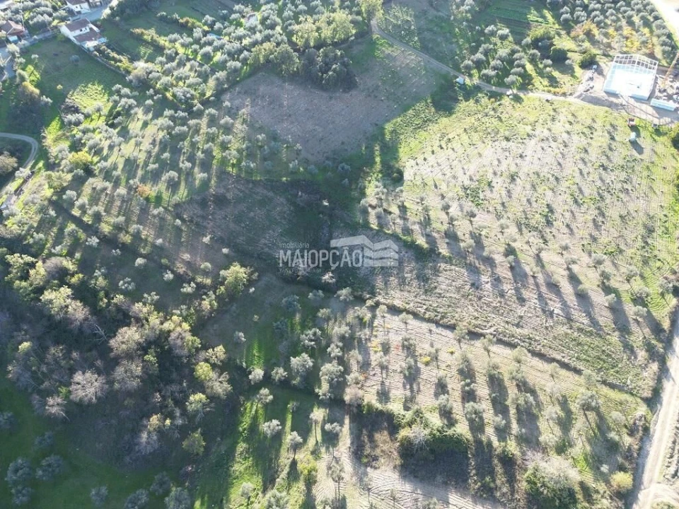 Terreno para Venda em Grijo de Parada Foto 5