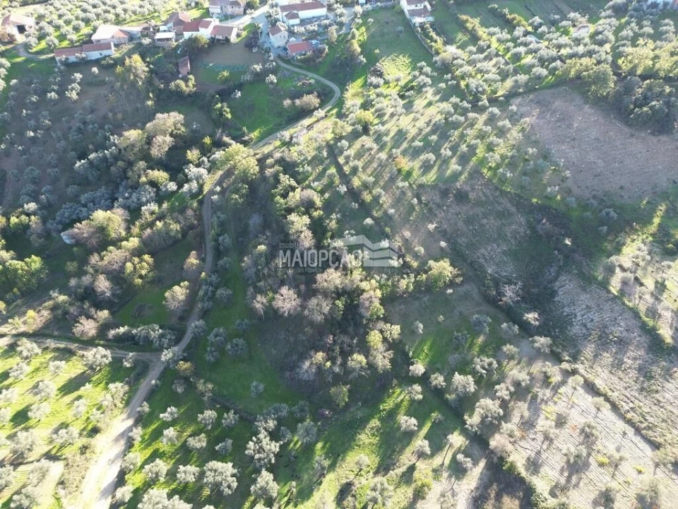 Terreno para Venda em Grijo de Parada Foto 6