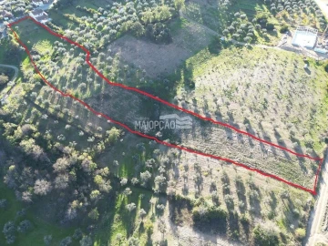 Terreno para Venda em Grijo de Parada
