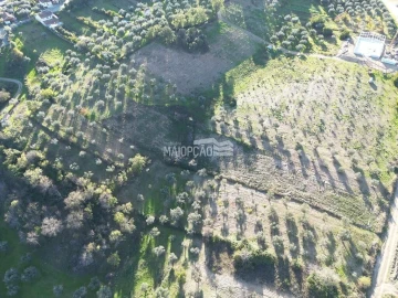 Terreno para Venda em Grijo de Parada