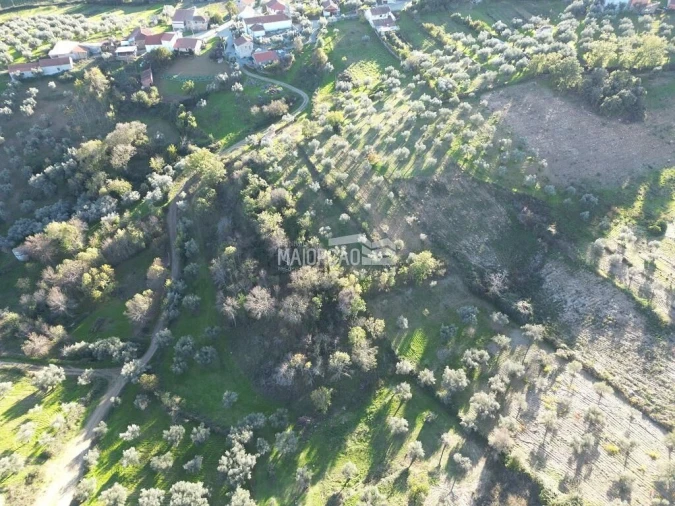 Terreno para Venda em Grijo de Parada Foto 2