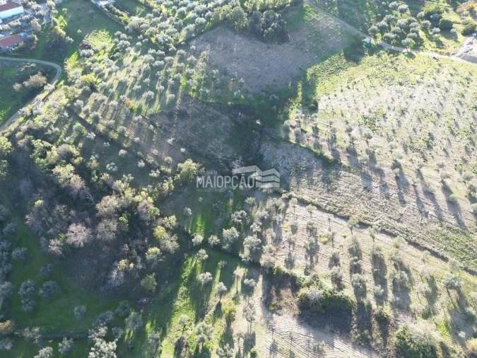 Terreno para Venda em Grijo de Parada Foto 4