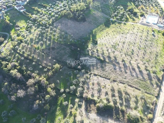 Terreno para Venda em Grijo de Parada Foto 5