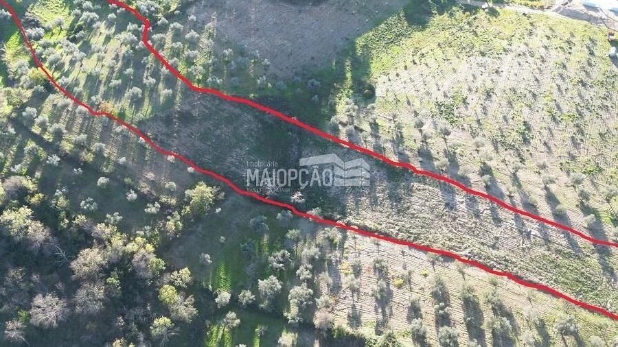 Terreno para Venda em Grijo de Parada