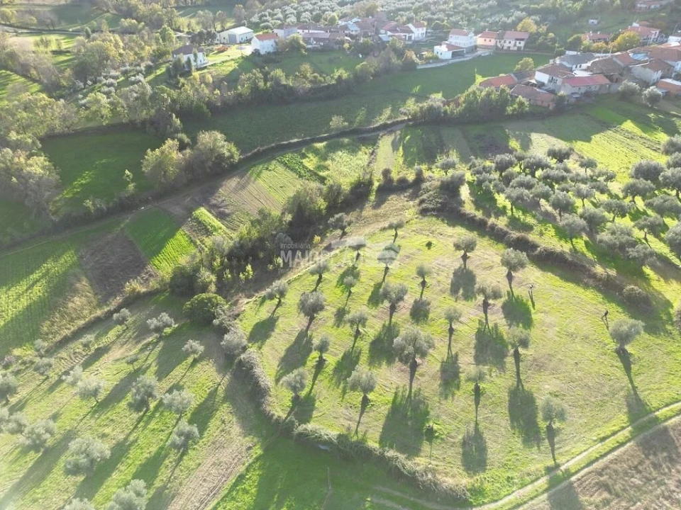 Terreno para Venda em Grijo de Parada Foto 2