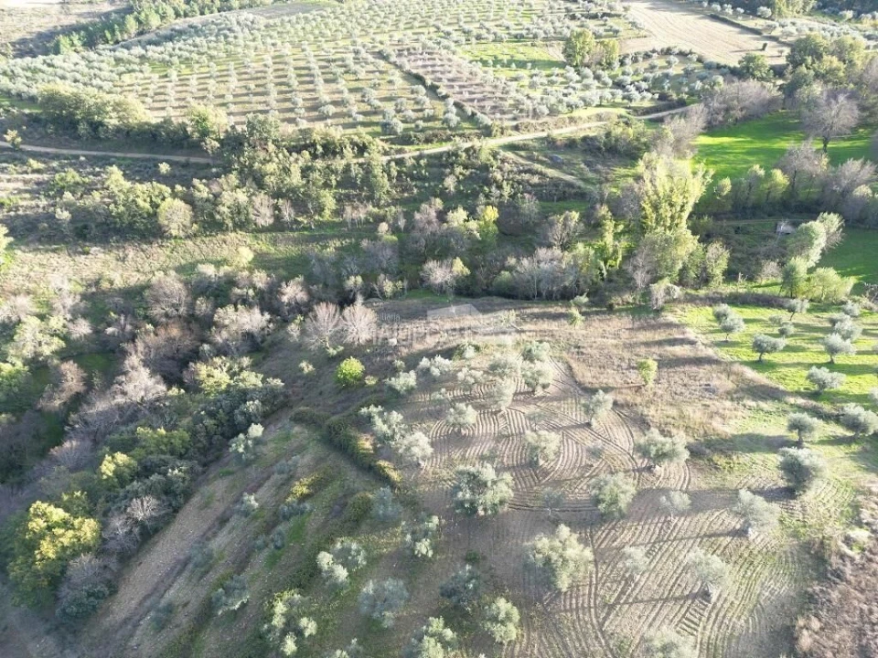 Terreno para Venda em Grijo de Parada Foto 5