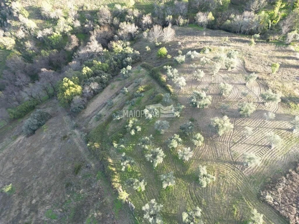 Terreno para Venda em Grijo de Parada Foto 6