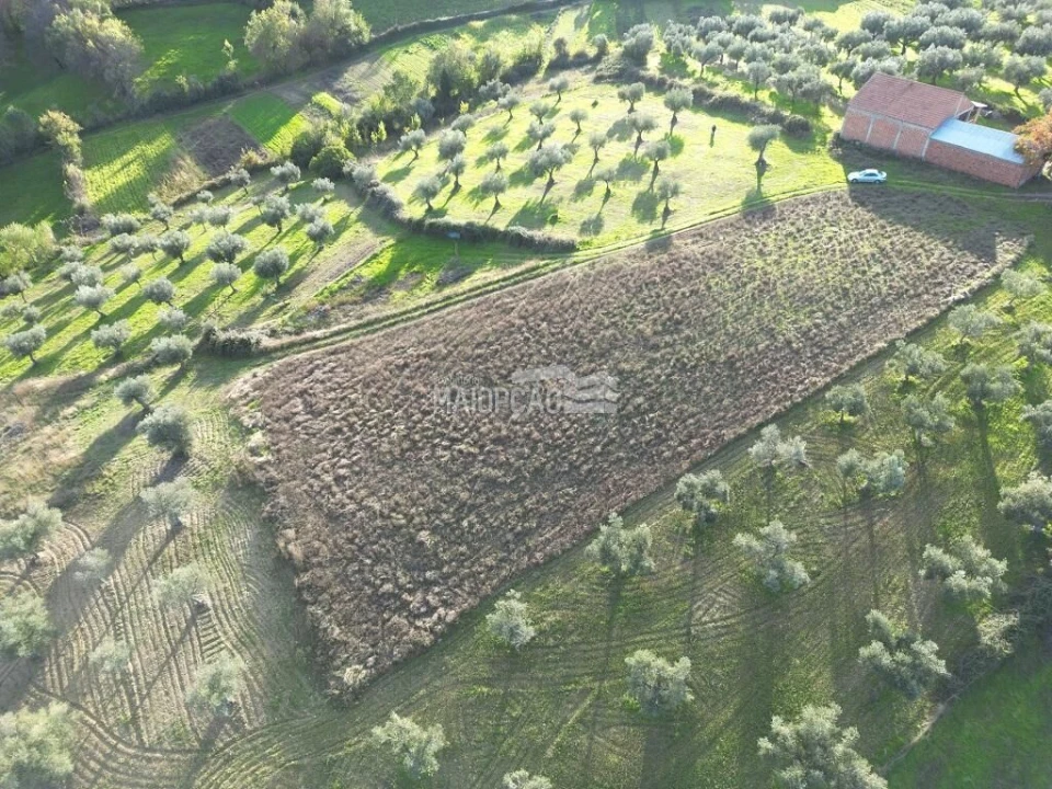 Terreno para Venda em Grijo de Parada Foto 7