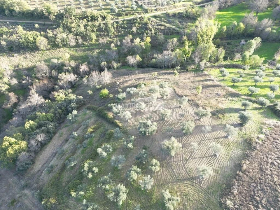 Terreno para Venda em Grijo de Parada Foto 9