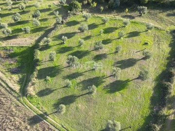 Terreno para Venda em Grijo de Parada
