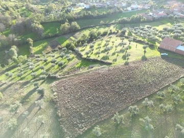 Terreno para Venda em Grijo de Parada