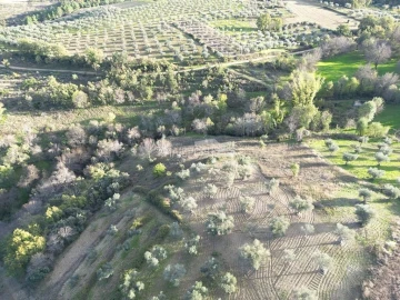 Terreno para Venda em Grijo de Parada