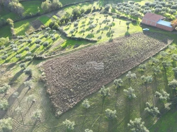 Terreno para Venda em Grijo de Parada
