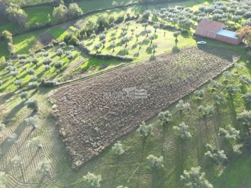 Terreno para Venda em Grijo de Parada
