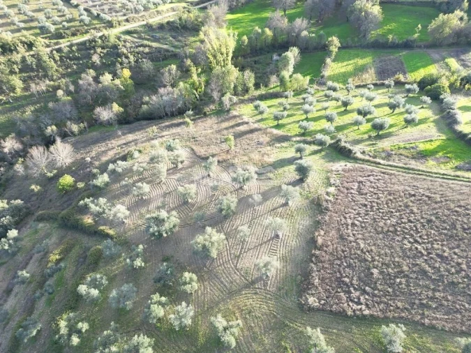 Terreno para Venda em Grijo de Parada Foto 8