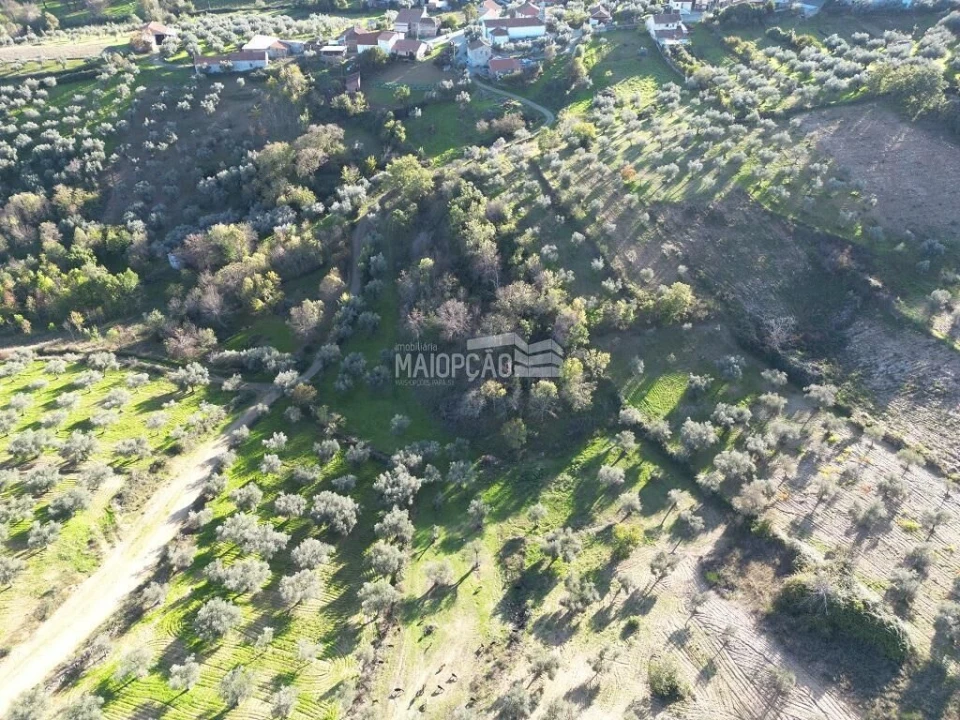 Terreno para Venda em Grijo de Parada Foto 2
