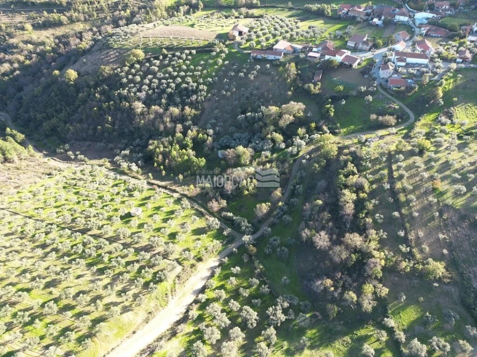 Terreno para Venda em Grijo de Parada Foto 3