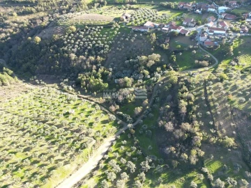 Terreno para Venda em Grijo de Parada
