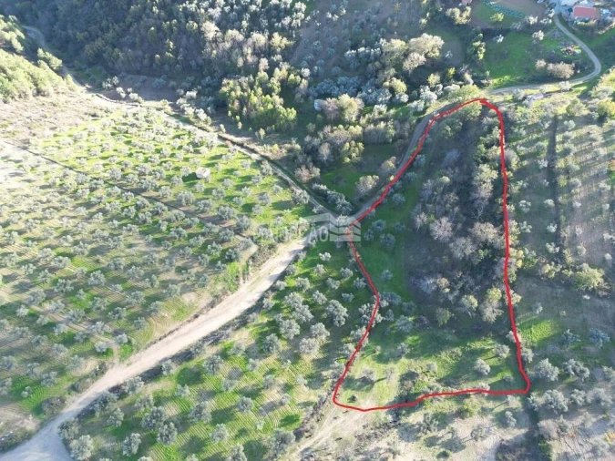 Terreno para Venda em Grijo de Parada