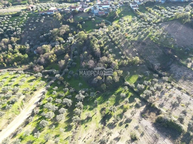 Terreno para Venda em Grijo de Parada Foto 2