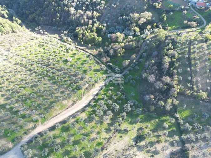 Terreno para Venda em Grijo de Parada Foto 4