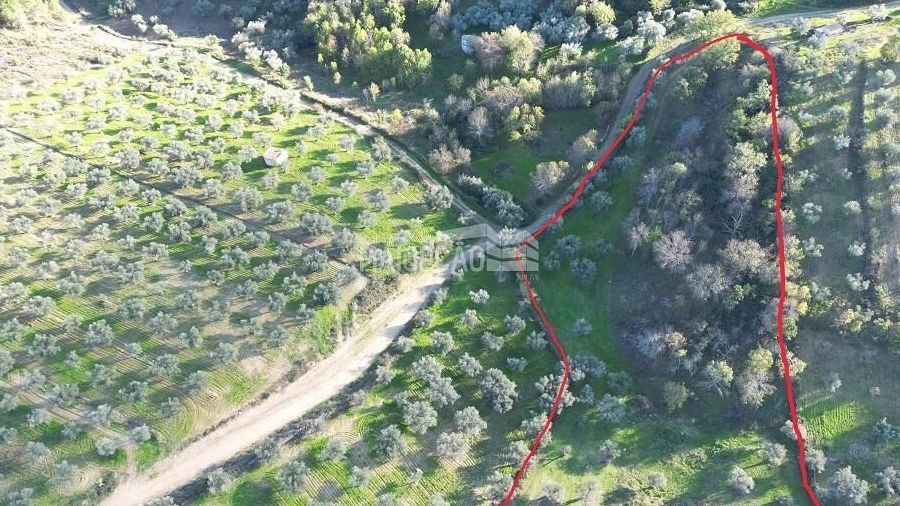 Terreno para Venda em Grijo de Parada