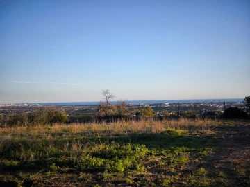 Terreno para Venda em Ferreiras