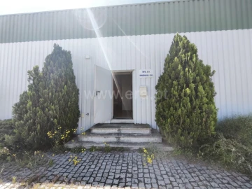 Escritório para Arrendamento em Castelo Branco