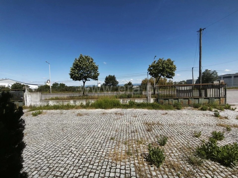 Escritório para Arrendamento em Castelo Branco Foto 16