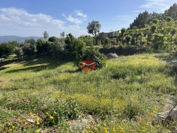 Moradia T3 para Venda em Travassos