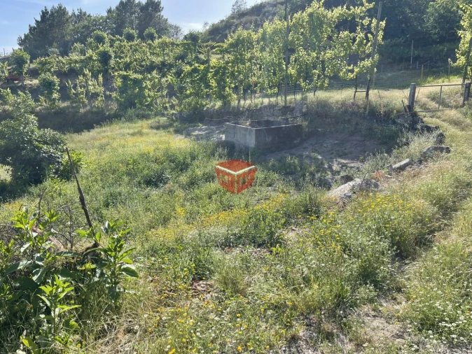 Moradia T3 para Venda em Travassos Foto 6