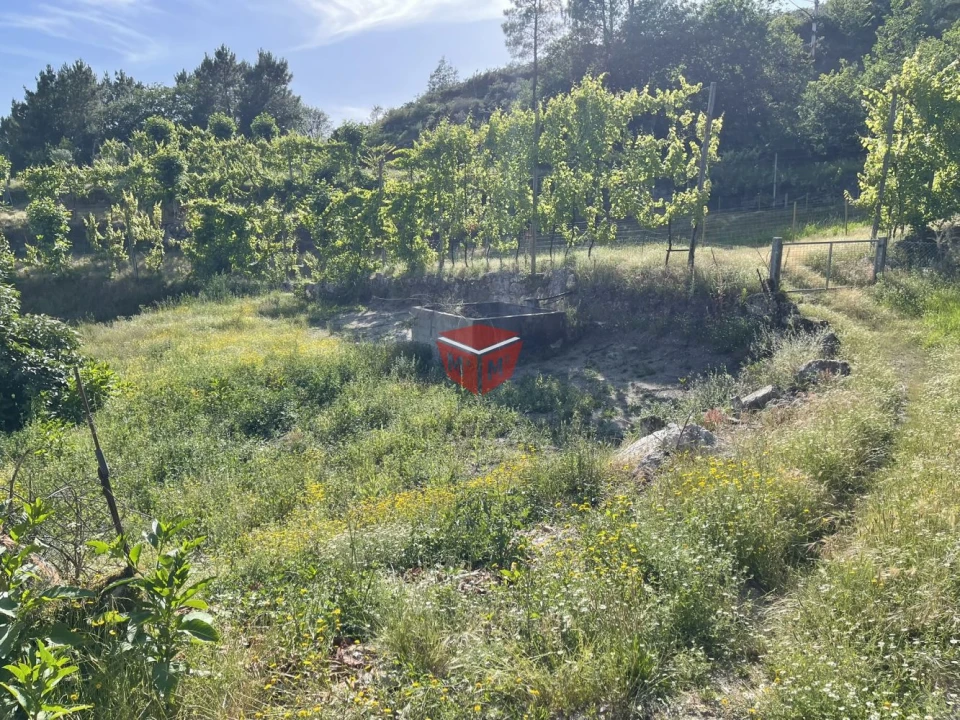 Moradia T3 para Venda em Travassos Foto 5