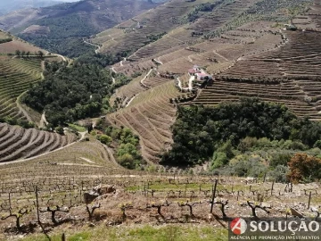 Quinta T6 para Venda em Guiães
