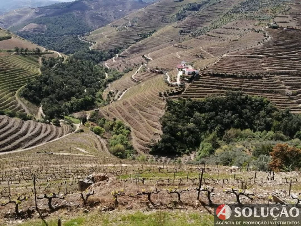 Quinta T6 para Venda em Guiães Foto 1