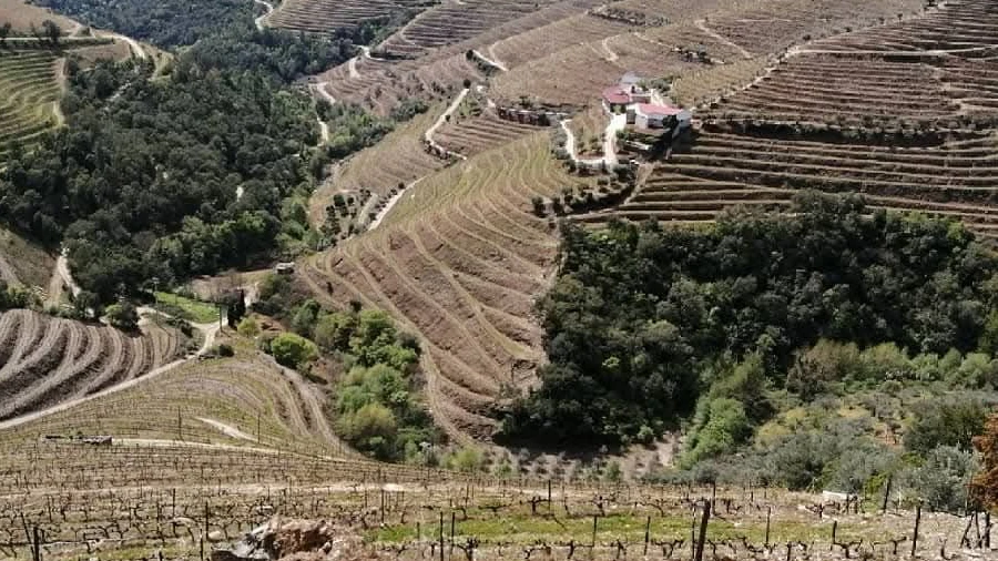Quinta T6 para Venda em Guiães