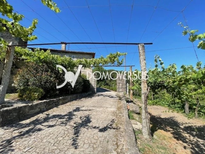 Quinta T10 para Venda em Conde e Gandarela Foto 6