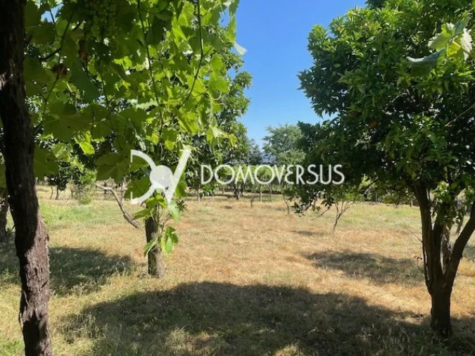 Quinta T10 para Venda em Conde e Gandarela Foto 44