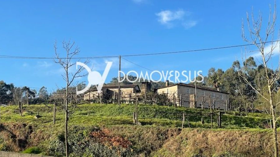 Quinta T10 para Venda em Conde e Gandarela